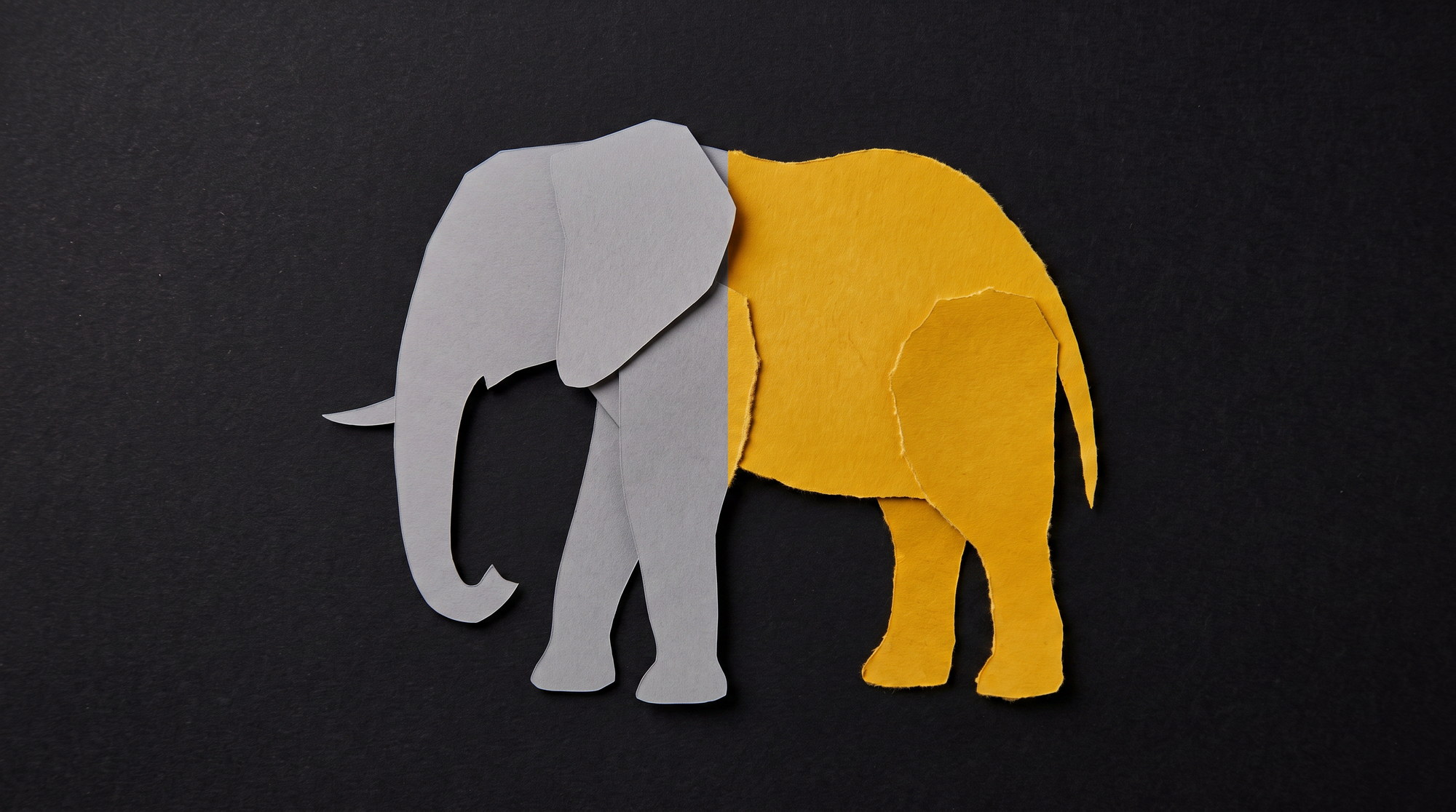 Un éléphant en papier découpé, fendu verticalement : la moitié gauche en papier gris aux bords coupés net à la machine, la moitié droite en papier jaune déchiré à la main, sur fond noir.