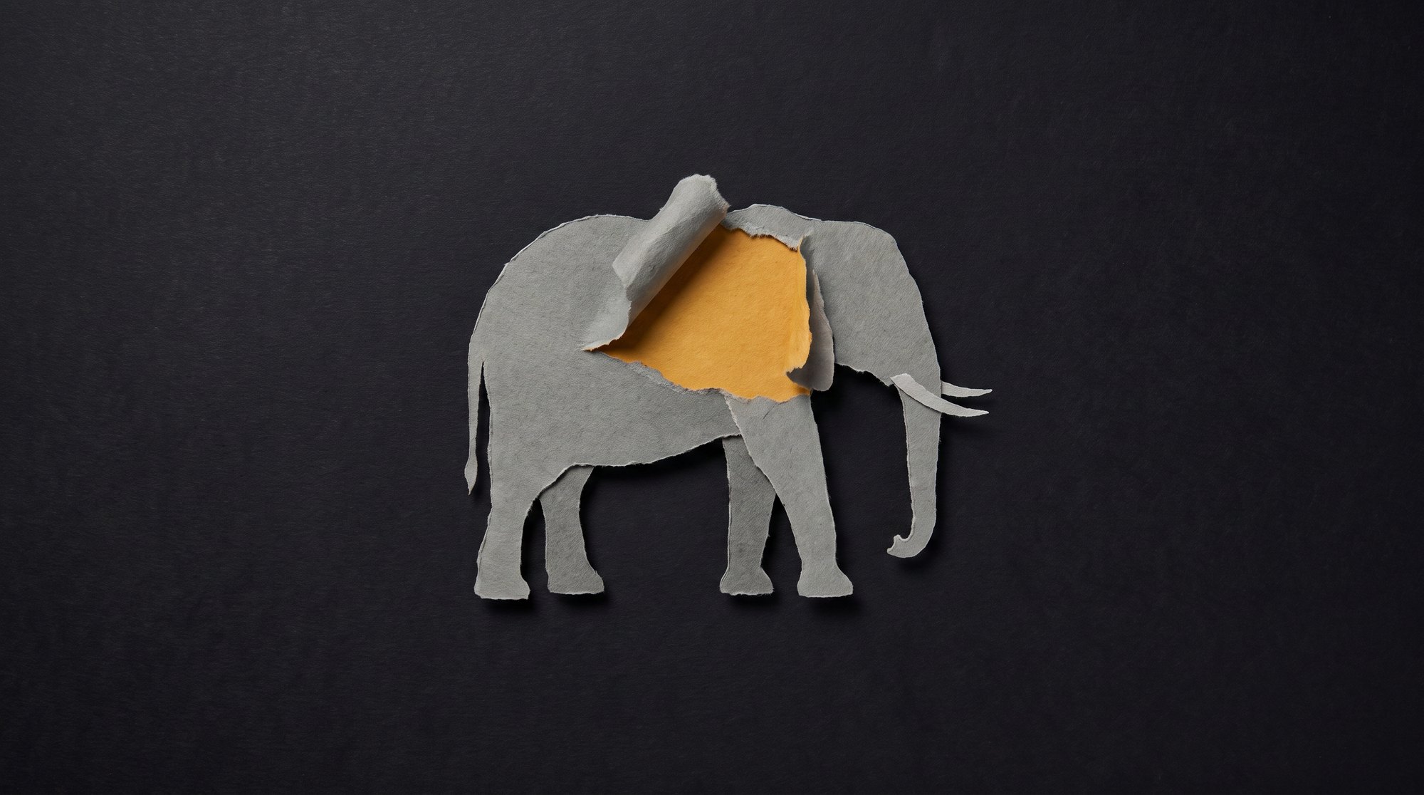 Un éléphant en papier gris déchiré, dont la couche de surface se soulève et laisse apparaître un papier jaune vif en dessous, sur fond noir.