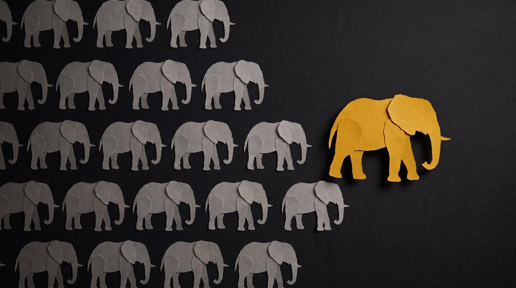 Une grille d'éléphants gris identiques en papier découpé, et un éléphant jaune plus grand qui se tient à l'écart, sur fond noir.