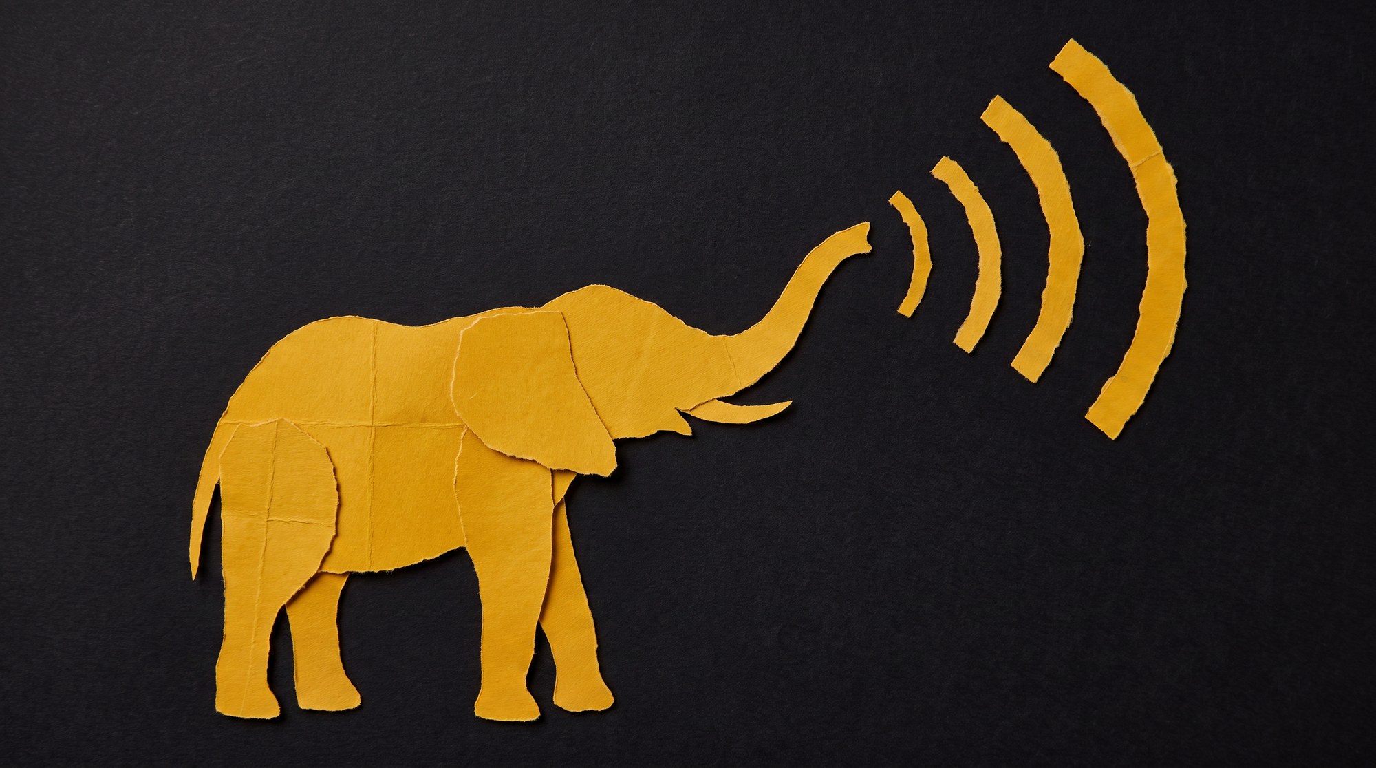 Un éléphant jaune en papier découpé barrit, des ondes sonores sortant de sa trompe levée, sur fond sombre.